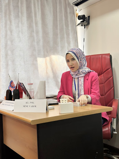 Mine Varol Hakkında Bilgi